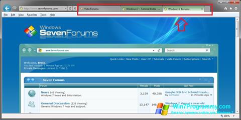 Скриншот программы Internet Explorer для Windows 7