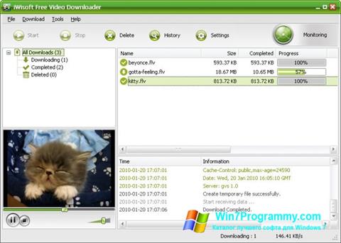 Скриншот программы Free Video Catcher для Windows 7