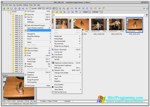 Скриншот программы Faststone Image Viewer для Windows 7