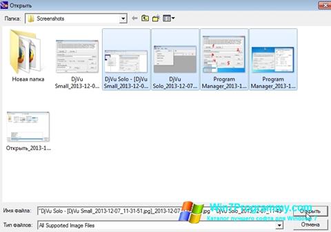 Скриншот программы DjVu Solo для Windows 7