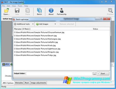 Скриншот программы RIOT для Windows 7