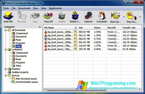 Скриншот программы Internet Download Manager для Windows 7