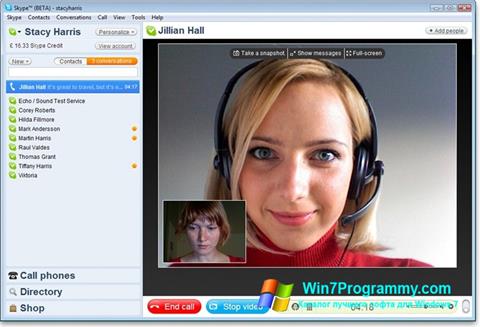 Скриншот программы Skype для Windows 7