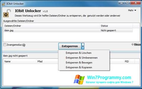 Скриншот программы IObit Unlocker для Windows 7