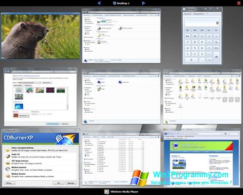 Скриншот программы Dexpot для Windows 7