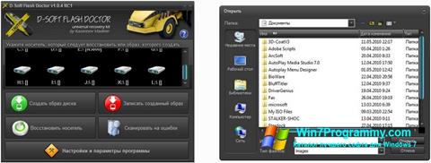Скриншот программы D-Soft Flash Doctor для Windows 7