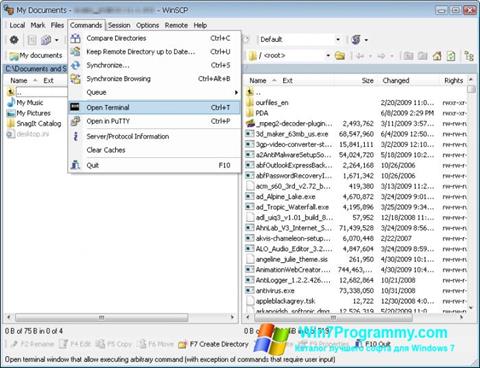 Скриншот программы WinSCP для Windows 7